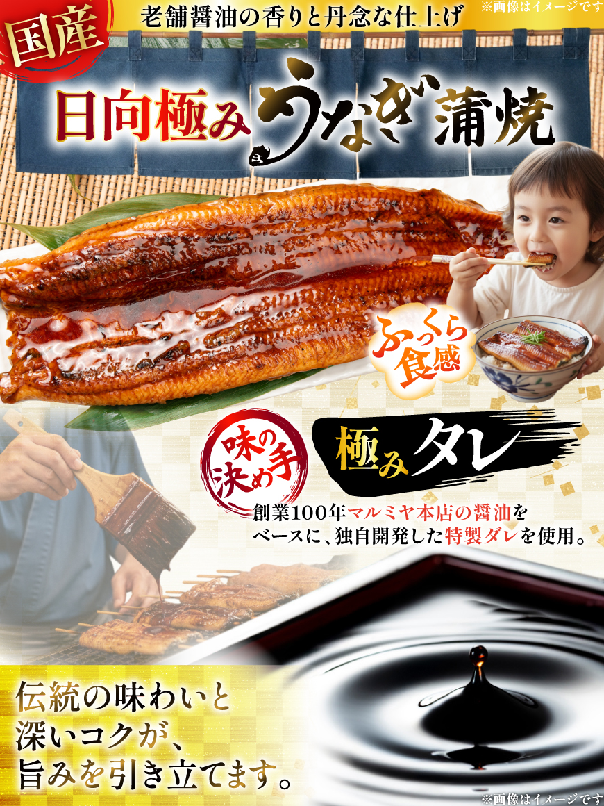 ふるさと納税　『日向極みうなぎ』　